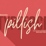 Pillish Duo Font Poster 1
