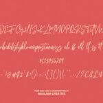 Pillish Duo Font Poster 10