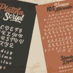 Platina Script - Regular Font Poster 6