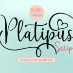 Platipus Font Poster 1