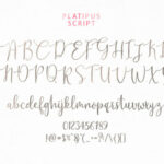 Platipus Font Poster 6