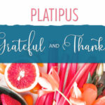 Platipus Font Poster 8