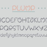 Plump Font Poster 3