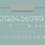 Plump Font Poster 4