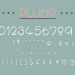 Plump Font Poster 4