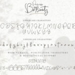 Princess Berlianty Font Poster 6