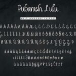 Pubarash Lulu Font Poster 8