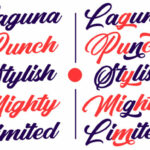 Punch Limit Duo Font Poster 13