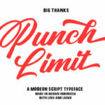 Punch Limit Duo Font Poster 14