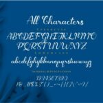 Qonitya Font Poster 12
