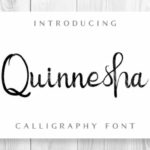 Quinnesha Font Poster 1