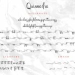 Quinnesha Font Poster 9