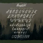 Rangvald Font Poster 11