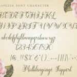 Rasputia Font Poster 11