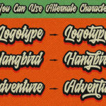 Raydric Script + Shadow Outline Font Poster 3