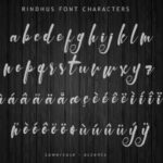 Rindhus Font Poster 5