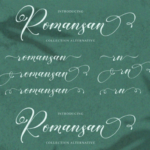 Romansan Font Poster 10