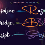 Rosaline Bridge Font Poster 3