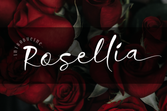 Rosellia Font Poster 1