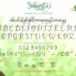 Sabanita Font Poster 10