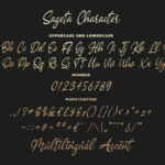 Sageta Font Poster 6