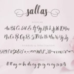 Sallas Font Poster 7