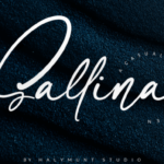 Sallina Font Poster 1