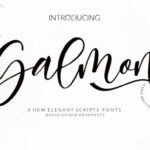 Salmon Font Poster 1