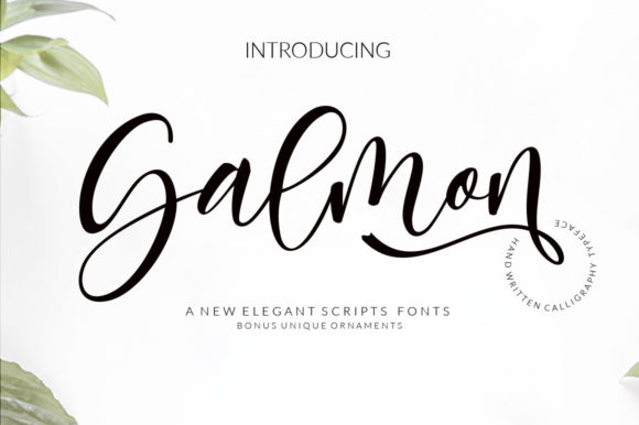 Salmon Font Poster 1