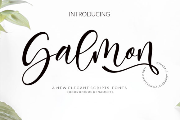 Salmon Font