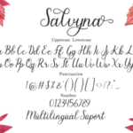 Salvyna Font Poster 11