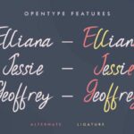 Secretto Edo Font Poster 11