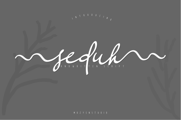 Seduh Font Poster 1