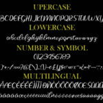 Selfila Font Poster 7