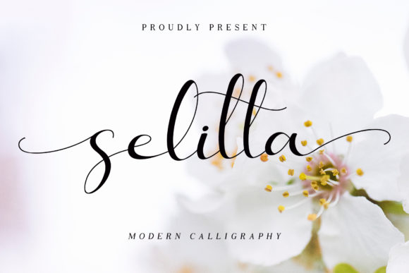 Selitta Font Poster 1