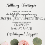 Senthany Font Poster 7