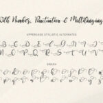 Seronita Font Poster 9