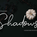 Shadows Font Poster 1