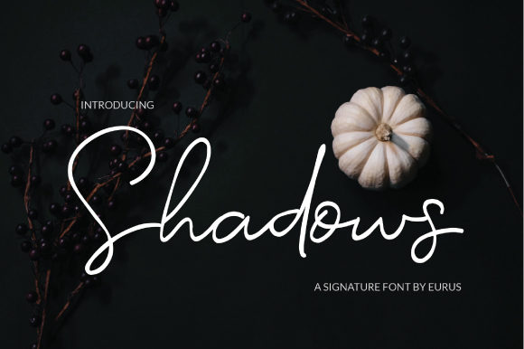 Shadows Font Poster 1