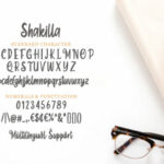 Shakilla Font Poster 9