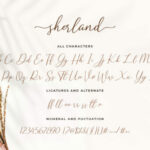 Sherland Font Poster 14