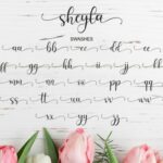 Sheyla Font Poster 9