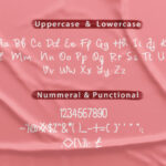 Sheyna Baby Font Poster 6
