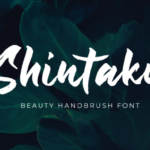 Shintaku Font Poster 1