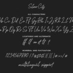 Silver City Font Poster 8