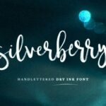Silverberry Font Poster 1