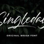 Singleday Font Poster 1