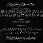 Singleday Font Poster 5