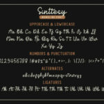 Sinttesy Font Poster 2