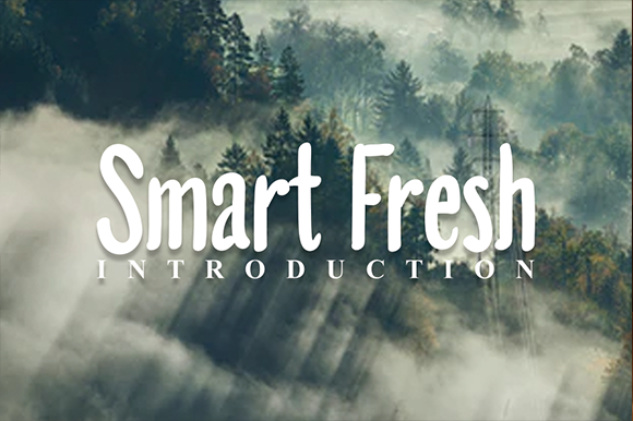 Smart Fresh Font Poster 1